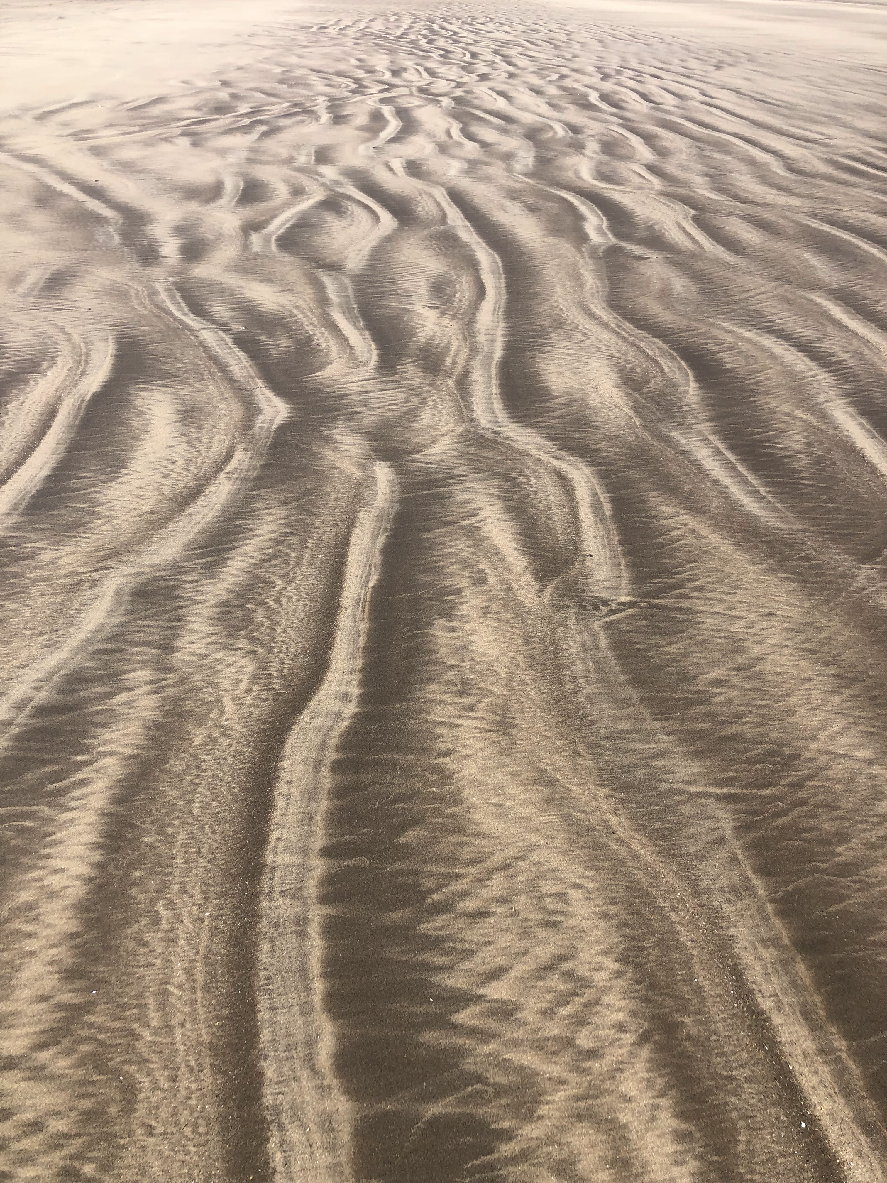 This image has an empty alt attribute; its file name is img_1498.jpg