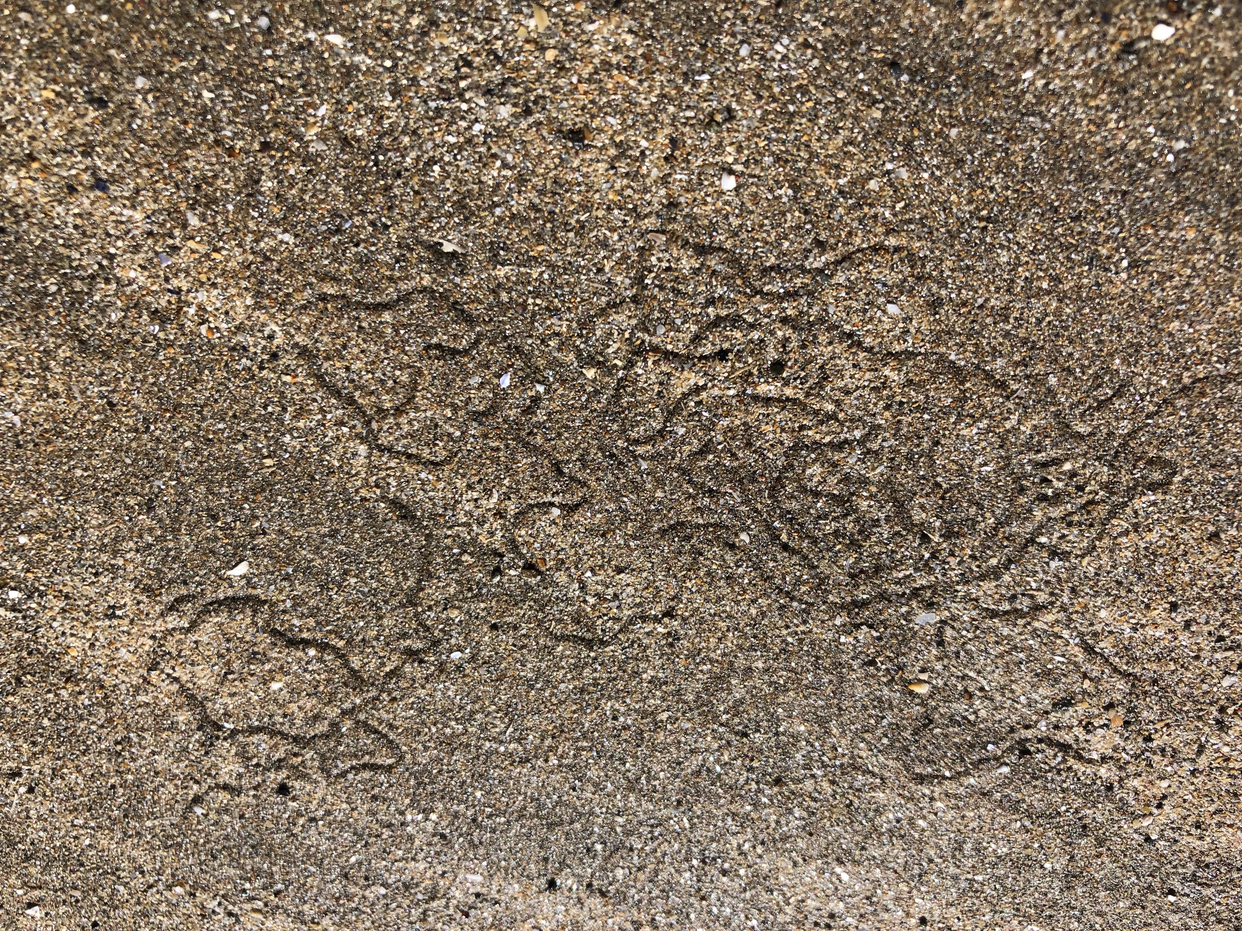 This image has an empty alt attribute; its file name is img_1529.jpg