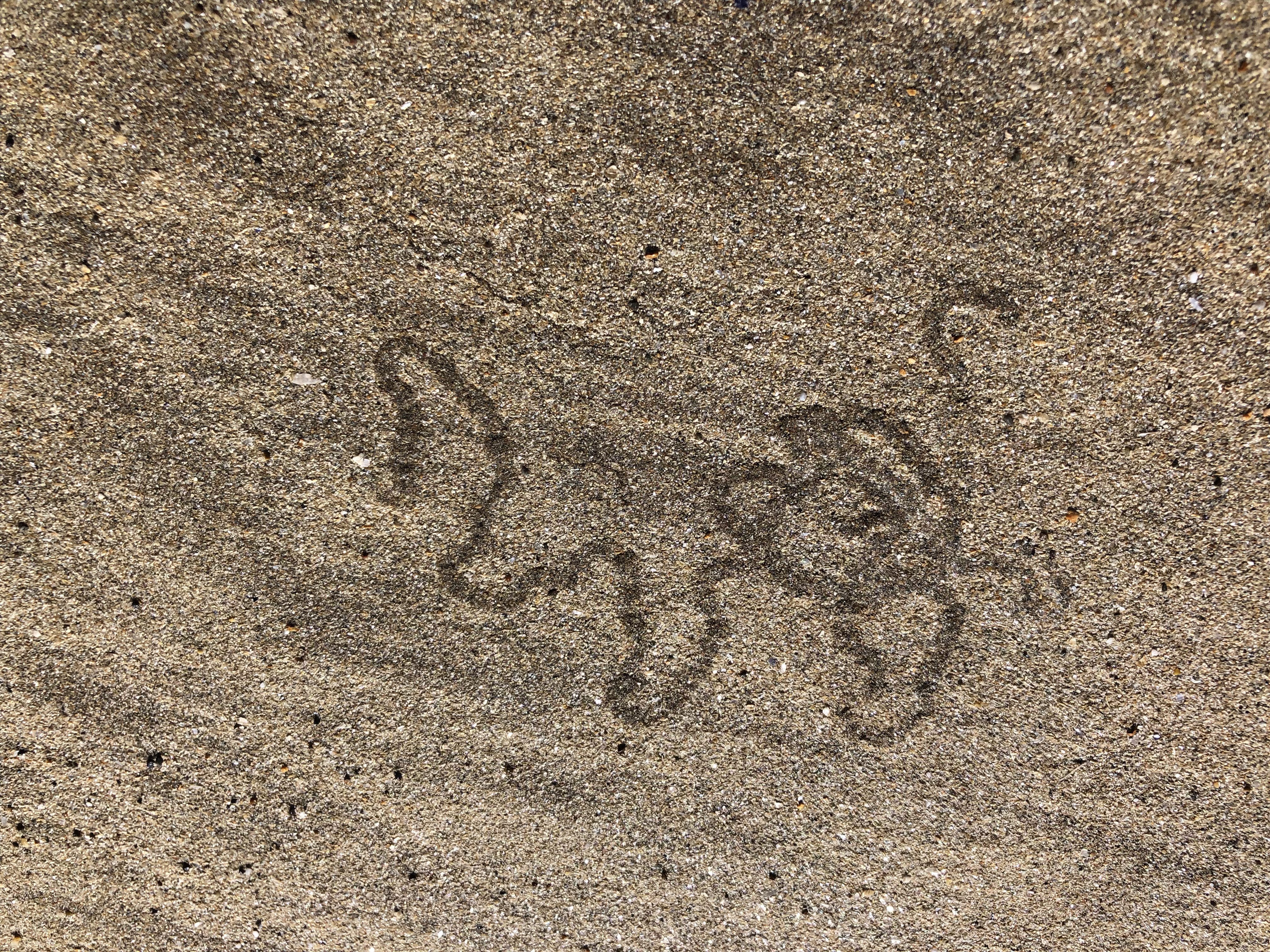 This image has an empty alt attribute; its file name is img_1535.jpg